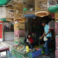 фото из отзыва ID 962573