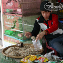 фото из отзыва ID 962573