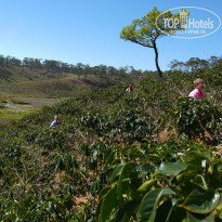 фото из отзыва ID 962573