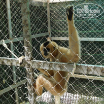 фото из отзыва ID 962573