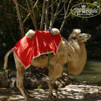 фото из отзыва ID 962573