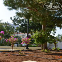 фото из отзыва ID 962561