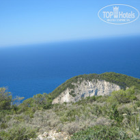 фото из отзыва ID 962674