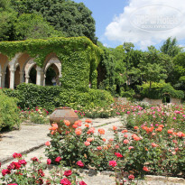 фото из отзыва ID 962855