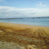 фото из отзыва ID 962976