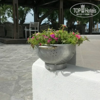 фото из отзыва ID 962995