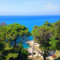 фото из отзыва ID 962826