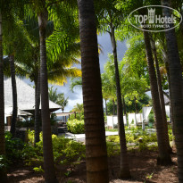 фото из отзыва ID 962987