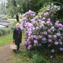 фото из отзыва ID 963026