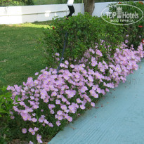 фото из отзыва ID 963197