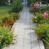 фото из отзыва ID 963197