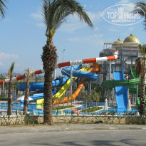 фото из отзыва ID 963452