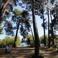 фото из отзыва ID 963472