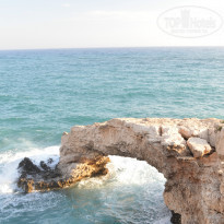 фото из отзыва ID 963580