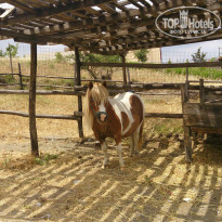 фото из отзыва ID 963839