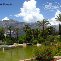 фото из отзыва ID 963938