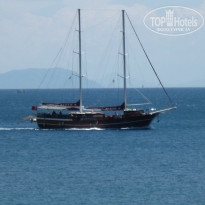 фото из отзыва ID 963994