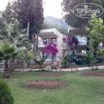 фото из отзыва ID 963994