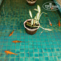 фото из отзыва ID 963689