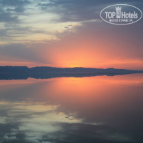 фото из отзыва ID 963777