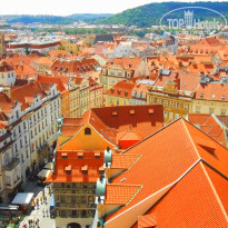 фото из отзыва ID 963324