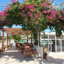 фото из отзыва ID 964018