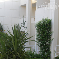 фото из отзыва ID 964393