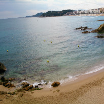 фото из отзыва ID 964722