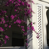 фото из отзыва ID 964973