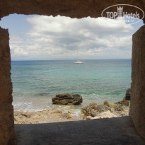 фото из отзыва ID 964610