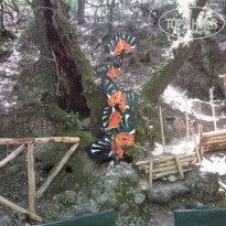 фото из отзыва ID 964610