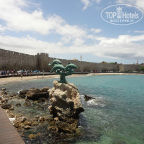 фото из отзыва ID 964610