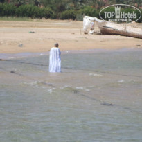 фото из отзыва ID 964946