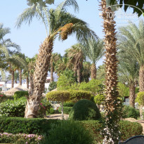 фото из отзыва ID 964946