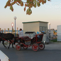 фото из отзыва ID 96541