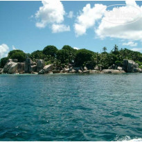 фото из отзыва ID 9650