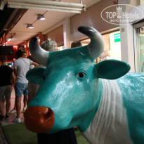 фото из отзыва ID 965132