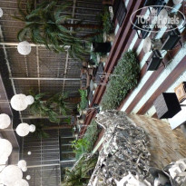 фото из отзыва ID 965138