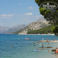 фото из отзыва ID 965182