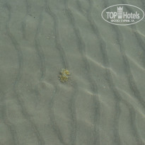 фото из отзыва ID 965067