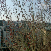 фото из отзыва ID 965260