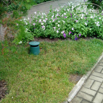 фото из отзыва ID 965991