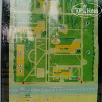 фото из отзыва ID 965991