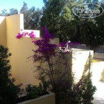 фото из отзыва ID 965167