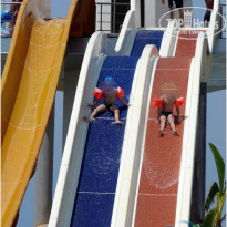 фото из отзыва ID 966131