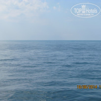 фото из отзыва ID 966634