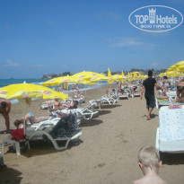 фото из отзыва ID 966744