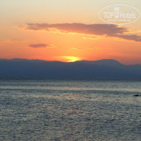 фото из отзыва ID 966867