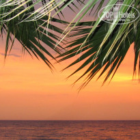 фото из отзыва ID 966920