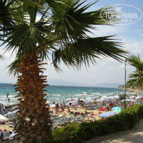 фото из отзыва ID 966920